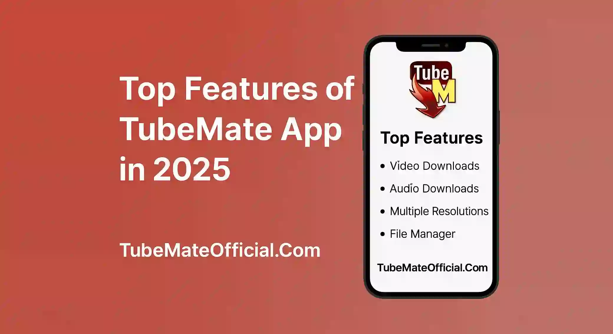 Top Features of TubeMate App in 2025